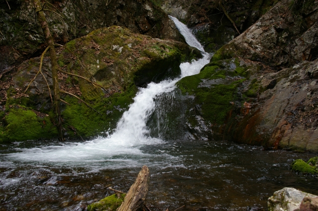 imgp2512