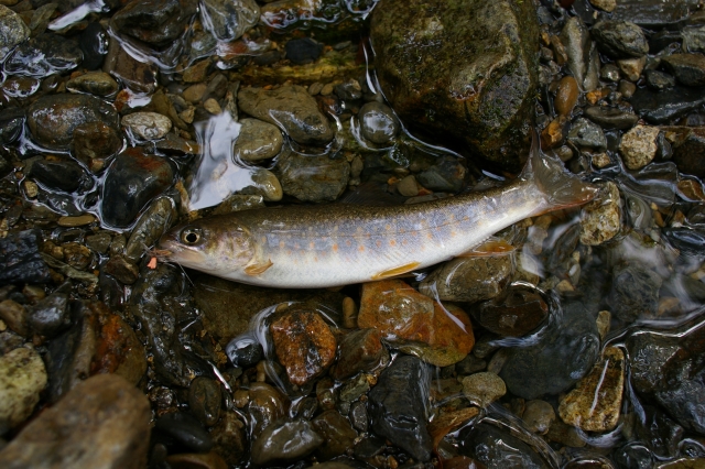 imgp2536