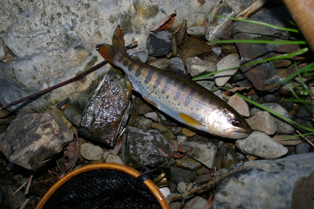 imgp2579