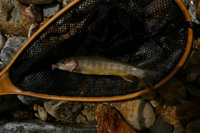 imgp2609