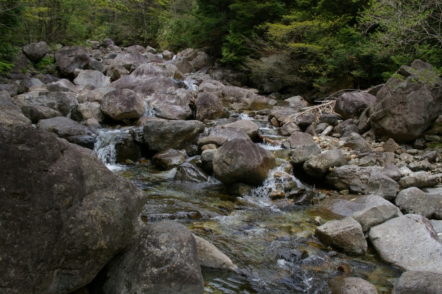 imgp2635