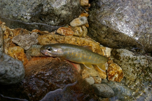 imgp2663