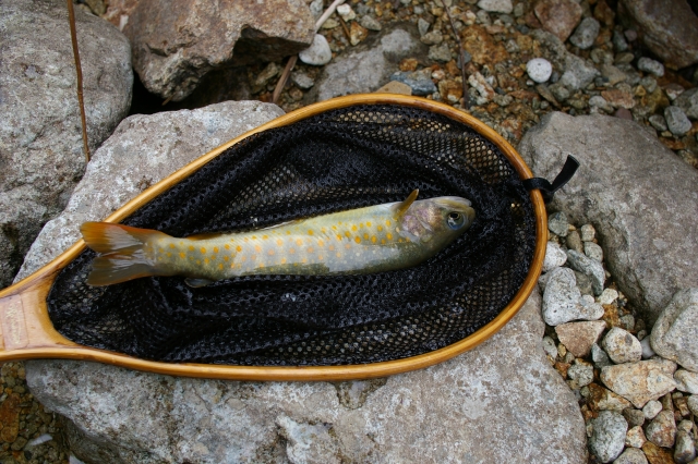 imgp2726