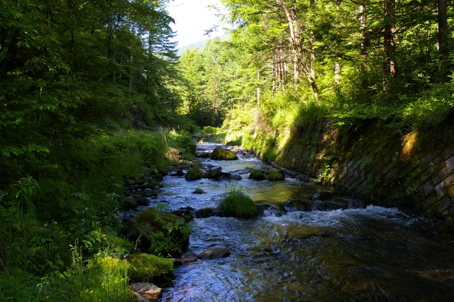 imgp2836