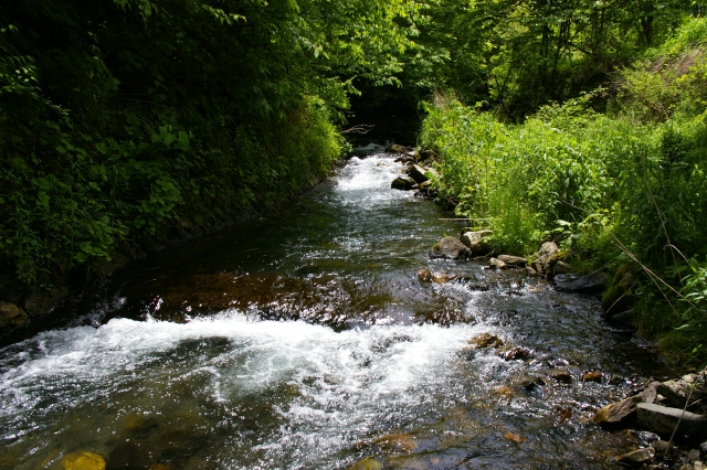 imgp2838