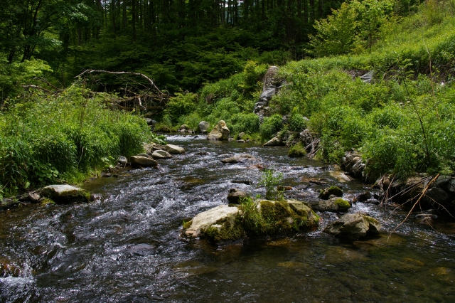 imgp2850