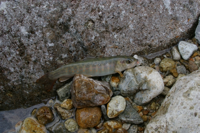 imgp2924