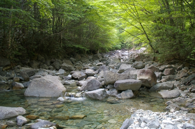 imgp2935
