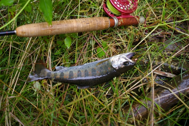 imgp2983
