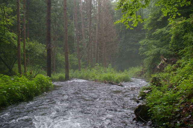 imgp2985