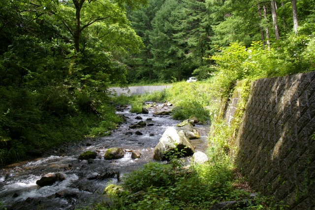 imgp2993