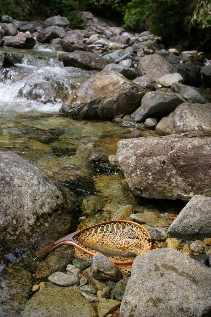 imgp3019