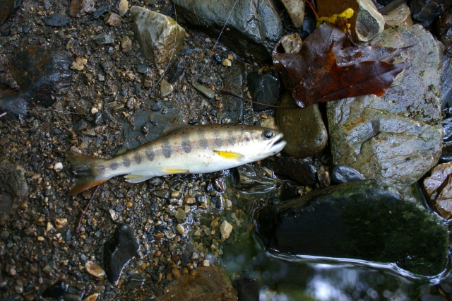 imgp3292