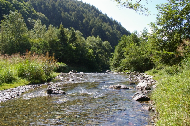 imgp3357