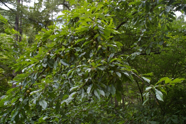 imgp3445