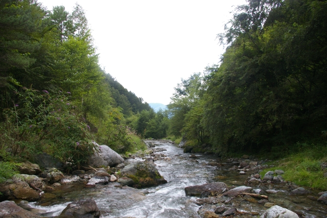 imgp3615