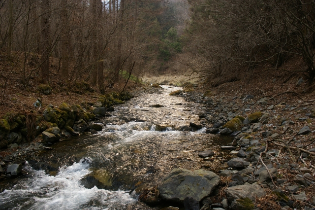 IMGP3959
