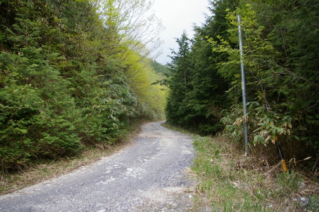 imgp4105