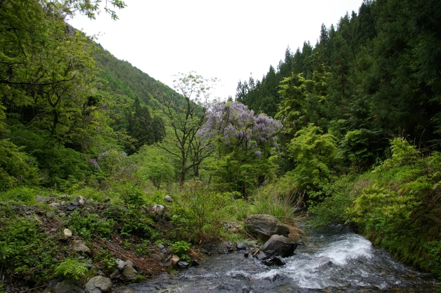 imgp4107