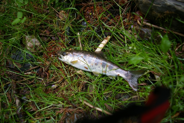 imgp4154