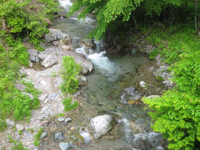img_1261