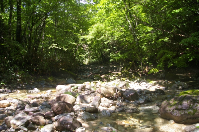 imgp4386