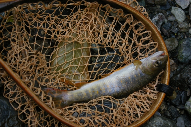 imgp4457
