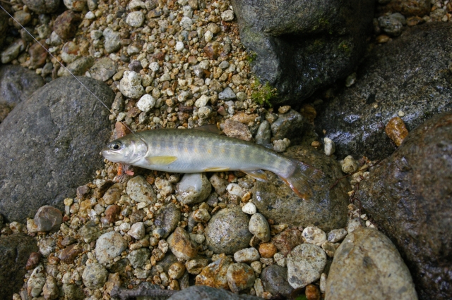 imgp4491