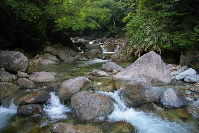 imgp4536