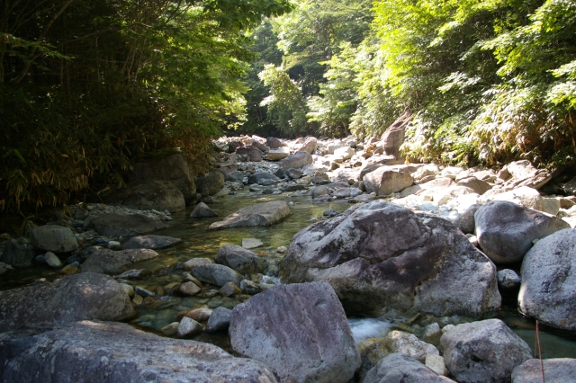 imgp4627