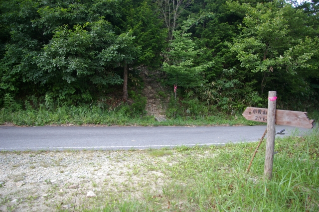 imgp4629