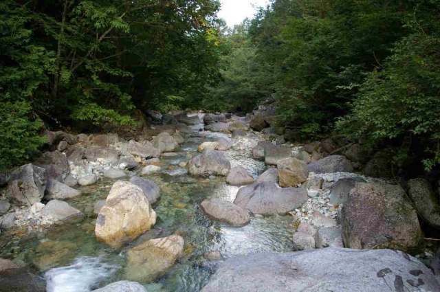 imgp4813
