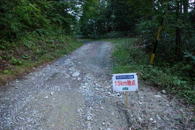 IMGP4921