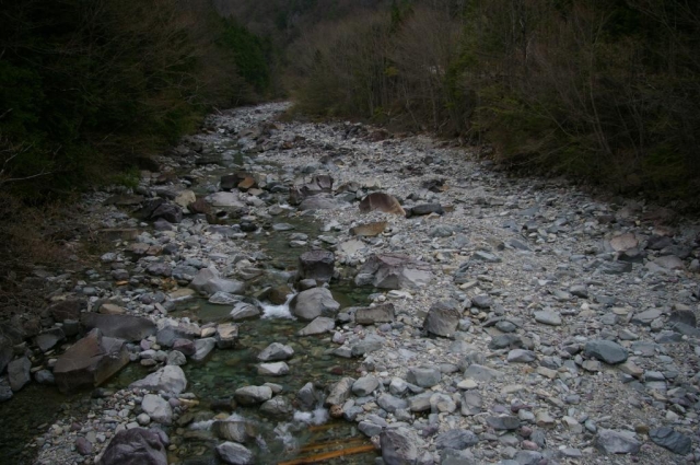 画像11