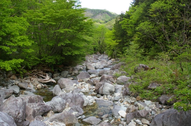 画像12
