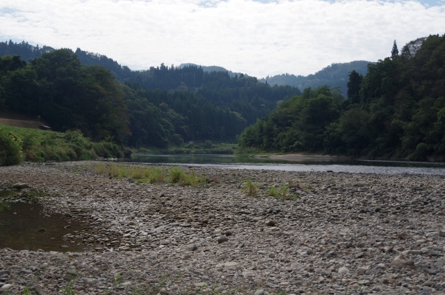 IMGP2529