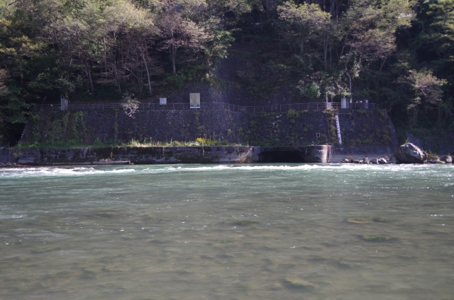 IMGP2555