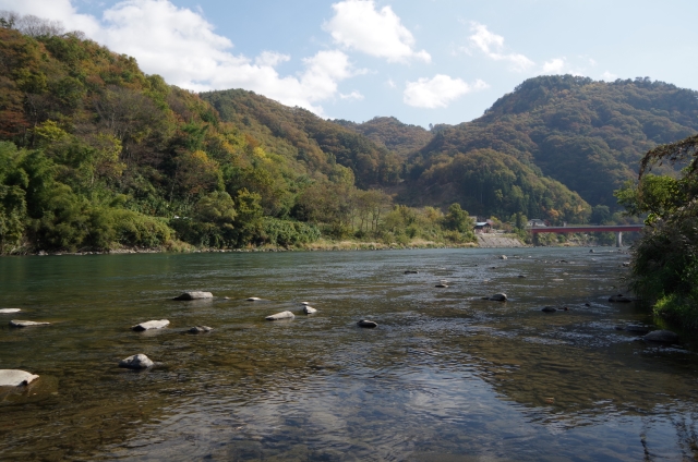 IMGP2639