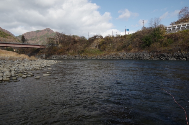IMGP0006
