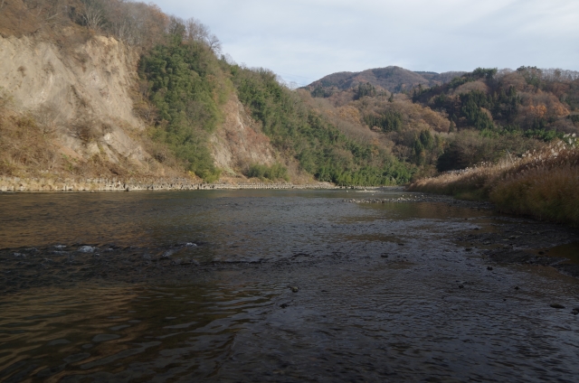 IMGP0013