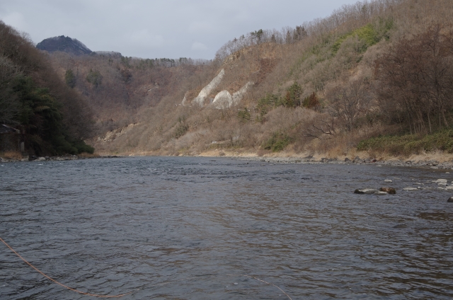 IMGP0006