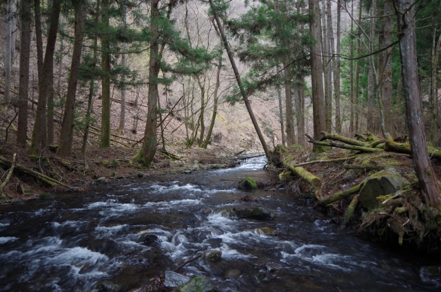 IMGP0010_R