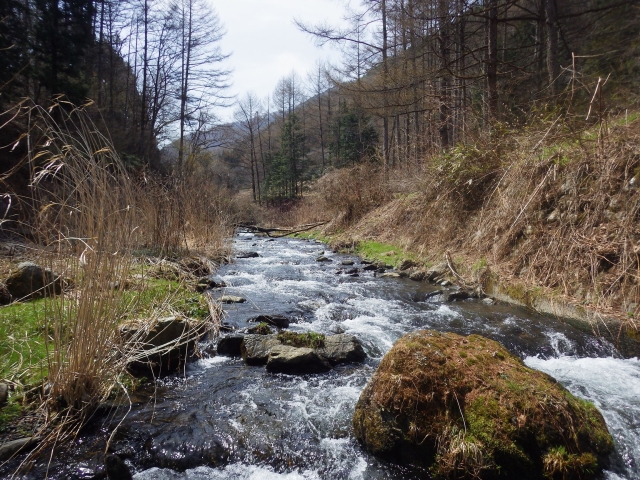 IMGP0245_R