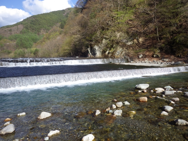 IMGP0317