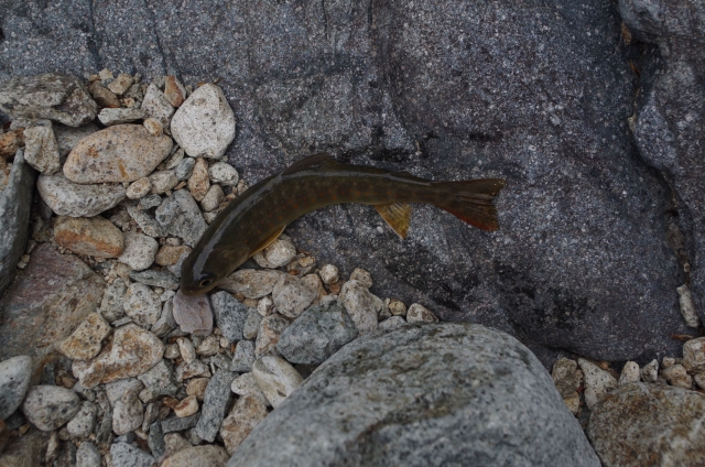IMGP0017_R