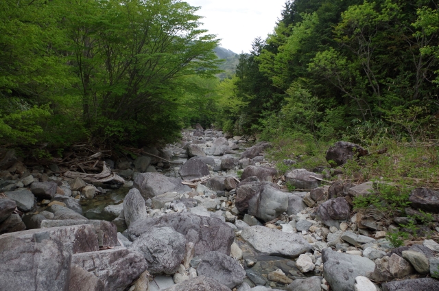 IMGP0020_R