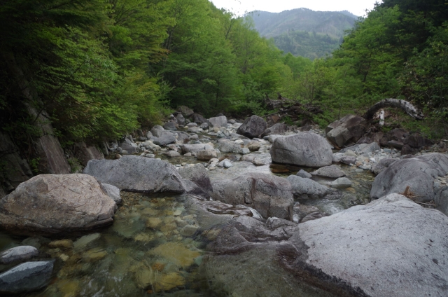 IMGP0028_R