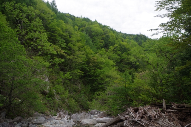 IMGP0034_R