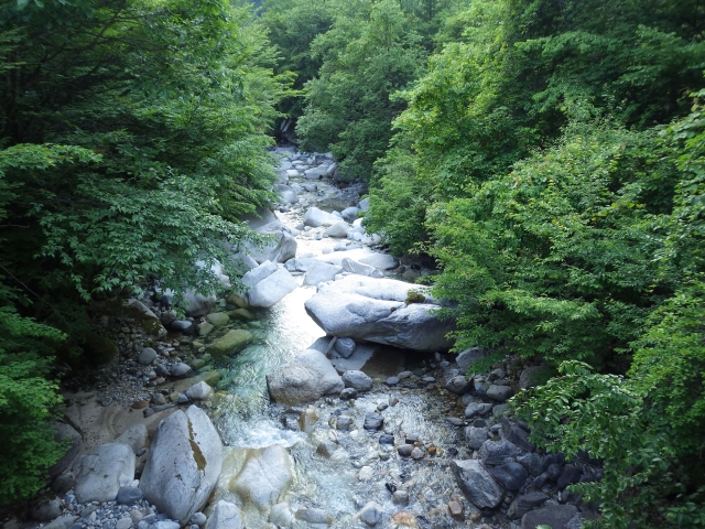 IMGP0408_R