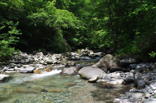 IMGP0021_R